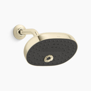 Statement™ - Multifunction 2.5gpm/9.6Lpm showerhead in french gold