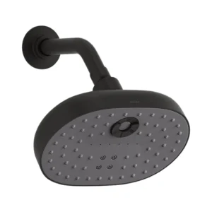 Statement™ - Multifunction 2.5gpm/9.6Lpm showerhead in matte black