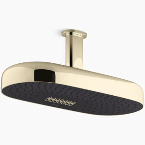 Statement™ - 453mm deep massage rainhead in french gold