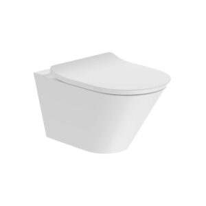 Brazn™ - Wall hung toilet with Quiet-Close™ seat cover in white