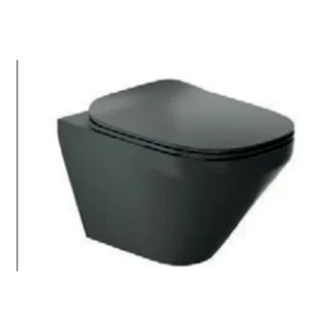 ModernLife Edge™ - Wall hung toilet with Quiet-Close™ UF seat cover in thunder grey