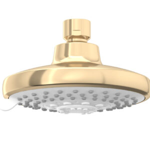 Rain Duet™ - Multifunction showerhead without shower arm in french gold