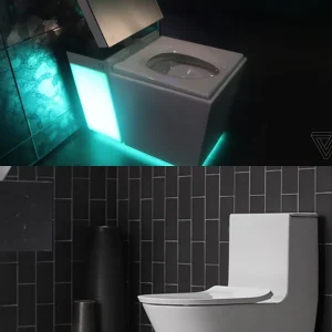Kohler intelligent toilet-advanced kohler sanitaryware