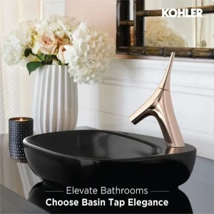 Black basin with vive faucet-kohler sanitaryware